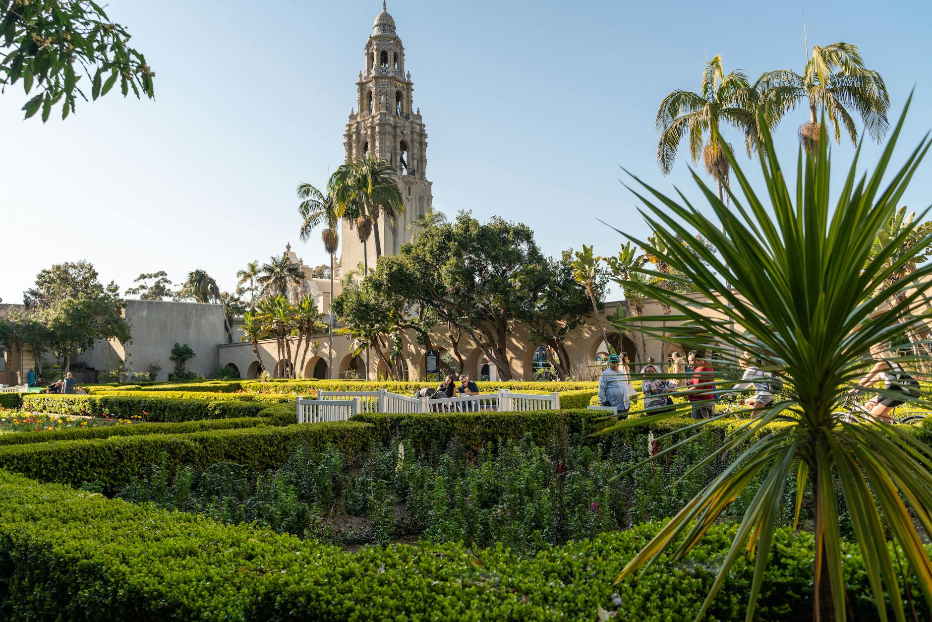 Best Places To Travel In California: Complete All Requirements For Making Plans For Your Next Adventure 7 Balboa Park