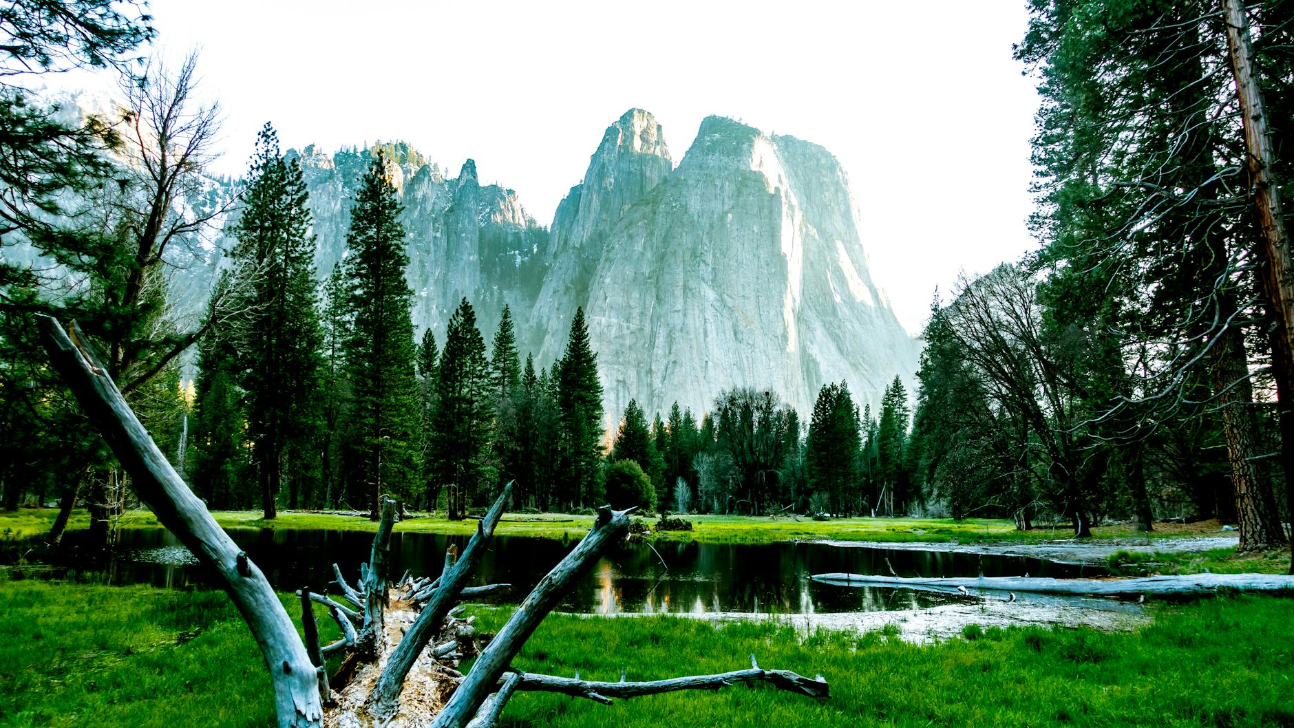 Best Places To Travel In California: Complete All Requirements For Making Plans For Your Next Adventure 6 Yosemite National Park